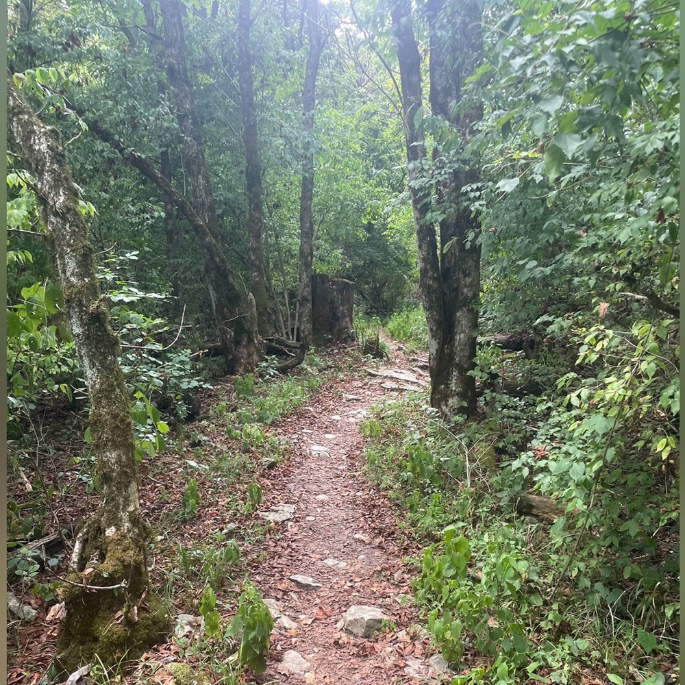 Meet your Posher, Kacie